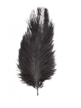 5 Plumes autruche noir 20-25cm