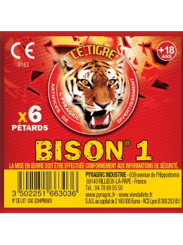 PAQUET 6 PETARDS BISON N°1