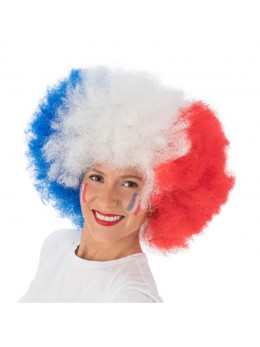 Perruque big afro tricolore