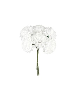 Bouquet de 6 mini hortensia blanc 14cm