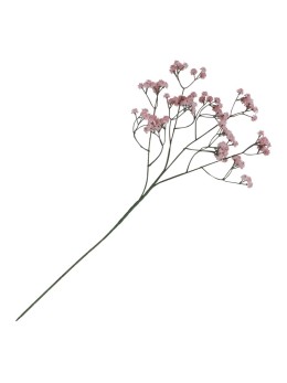 Tige gypsophile rose 60cm