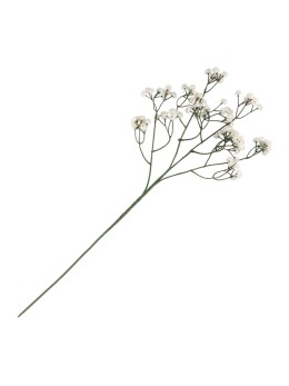 Tige gypsophile crème 60cm