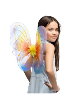 Ailes de papillon multicolore