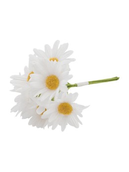 Bouquet 6 mini marguerite blanches