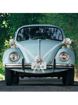 Kit Voiture 5 pièces Blanc et argent